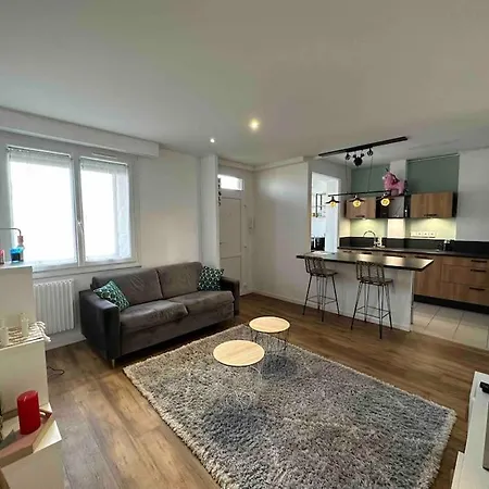 Superbe Appartement, Centre-ville Du Mans. 아파트 르망